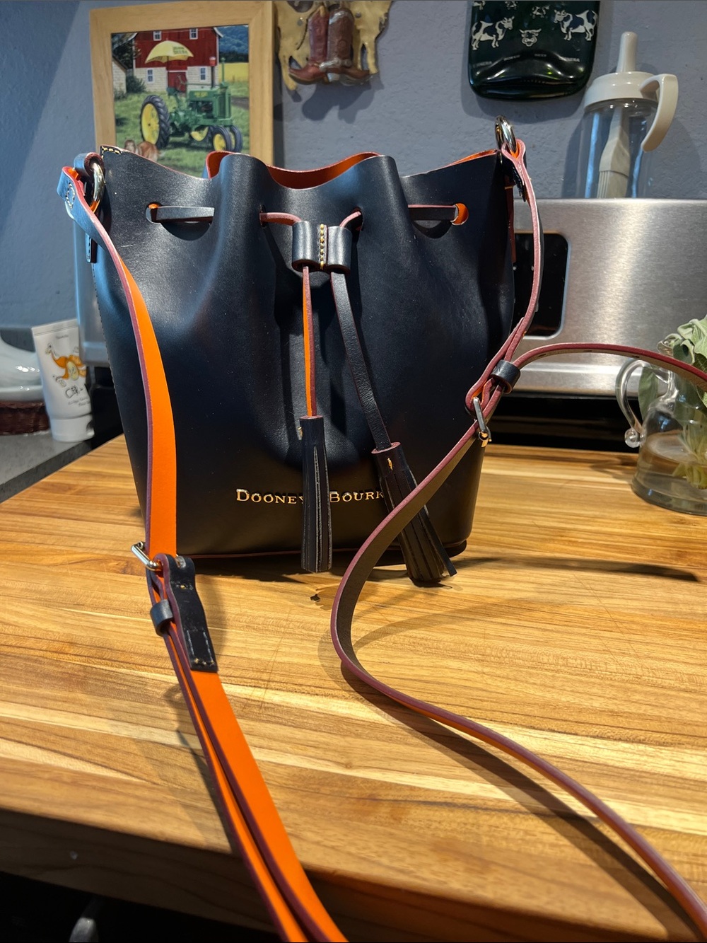 Dooney and Bourke Serena bag